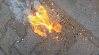 最近过半中国人都在噗噗噗呸呸，一开门，心里飘过一万头羊驼…