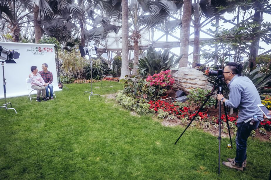 辰山植物园值得去的地方,上海辰山植物园最值得看的