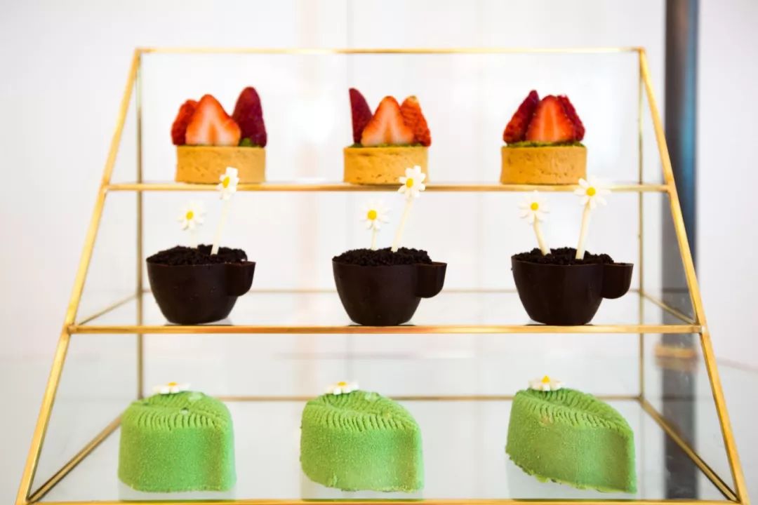 在重庆之巅，住云端奢居吃米其林大餐，刷新山城奢华新高度！