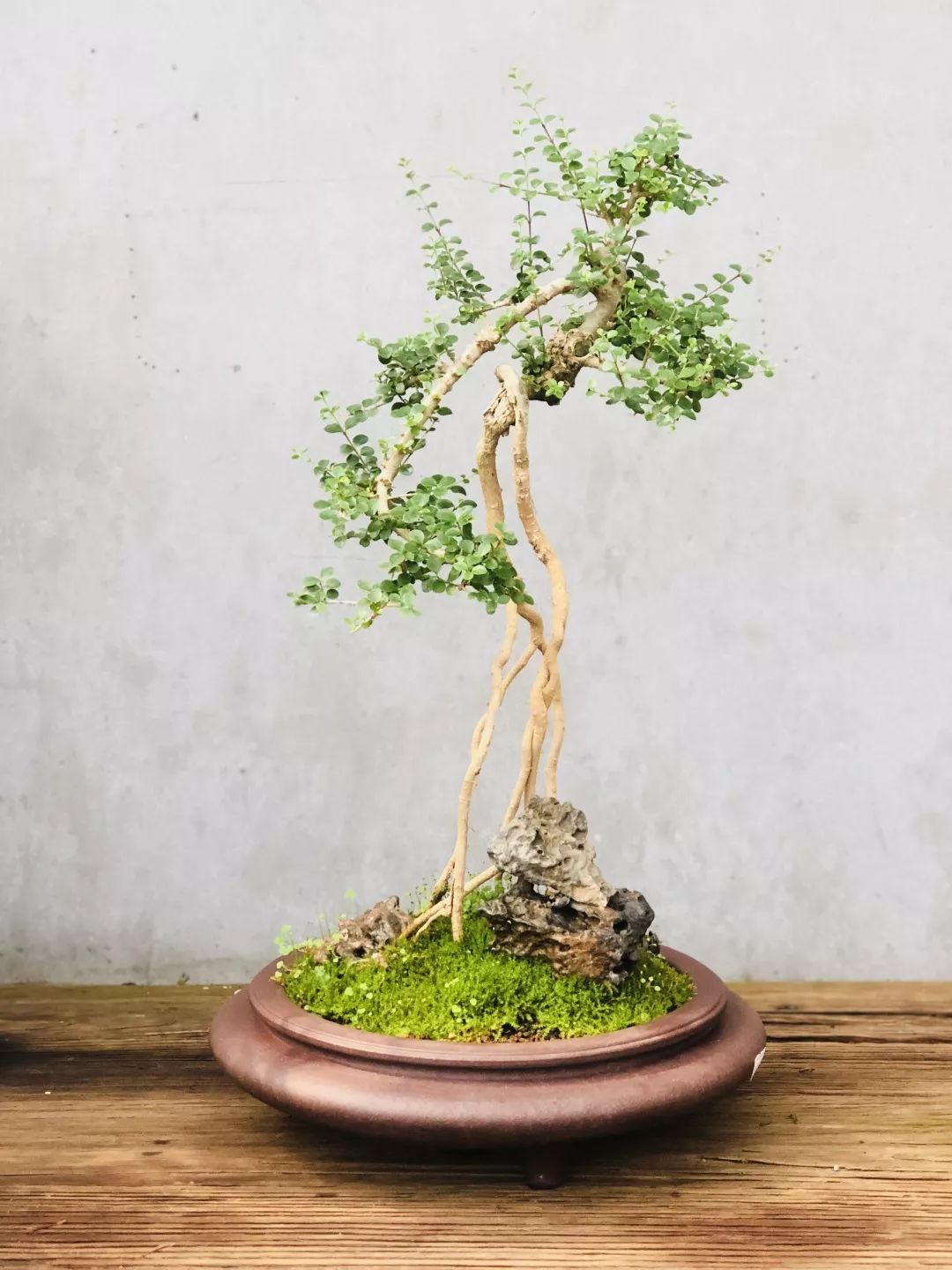 北京最美花店在哪里,北京哪个花店最美丽又好看