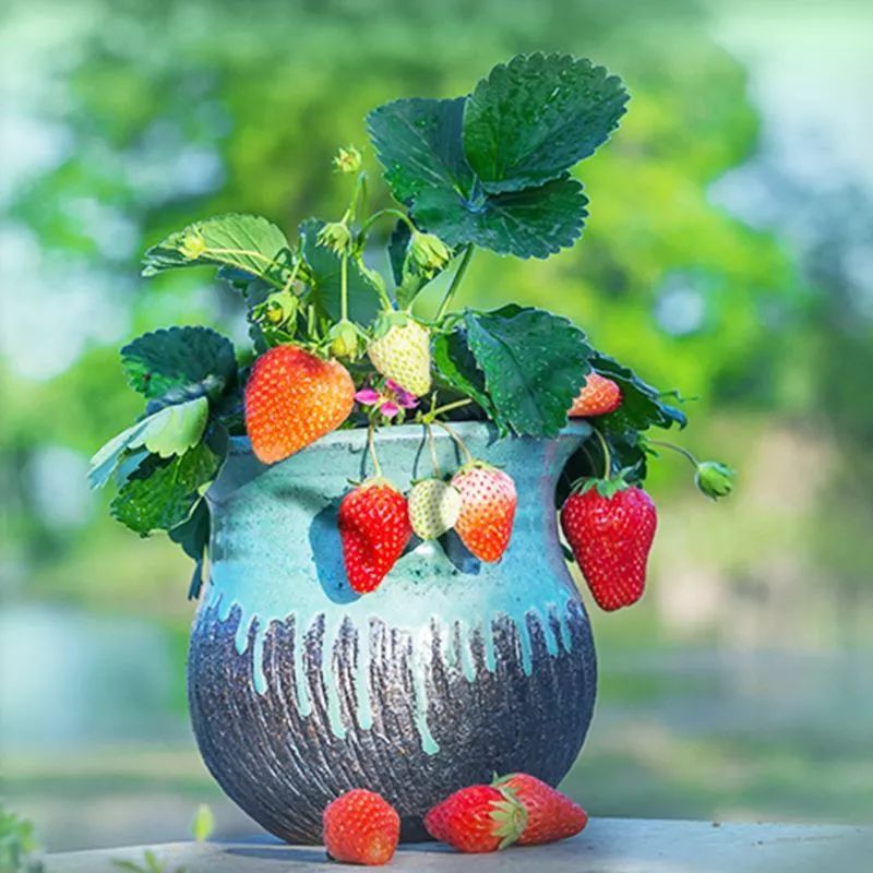 北京最美花店在哪里,北京哪个花店最美丽又好看