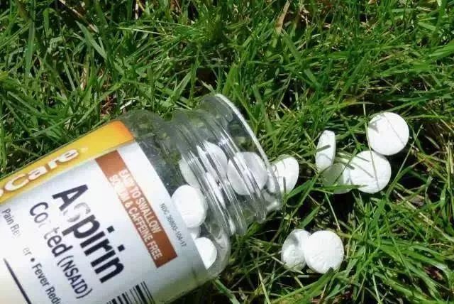 不用喂药!不用追!轻轻喷在它们的必经之路,就能瞬间“制服”!