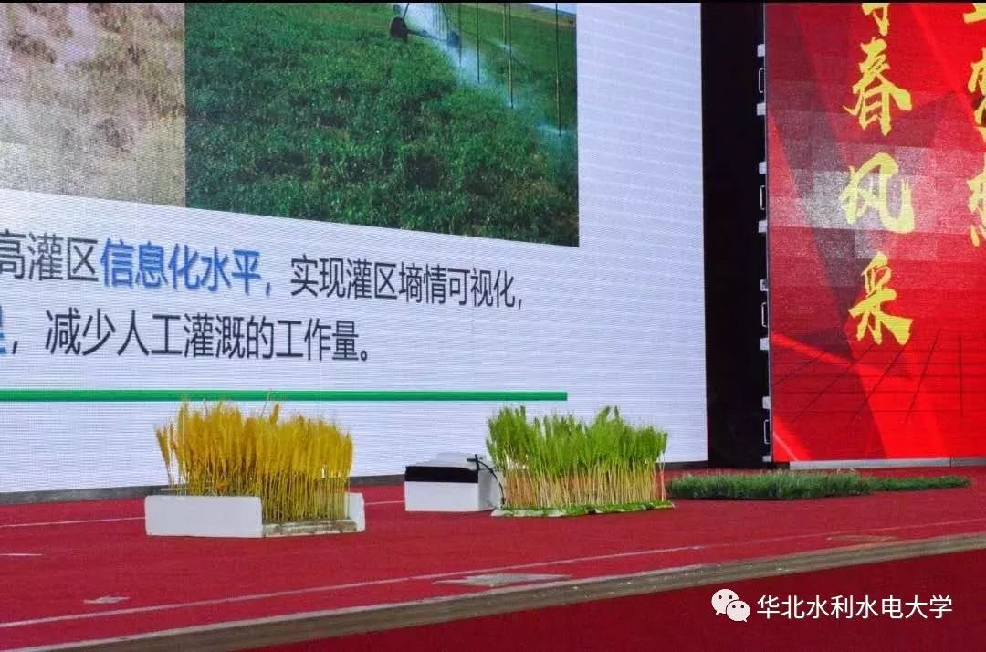 挑战者杯大学生创新创业大赛金奖,校园杯创新创业大赛