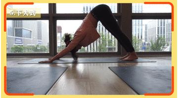 改善背部体态的动作,改善体态的瑜伽动作