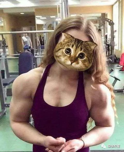 “我喜欢空中，可我的手没力”，空中到底需不需要手臂力量