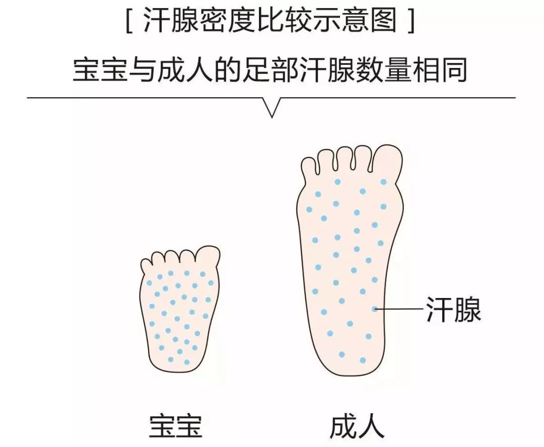 小蓝羊儿童凉鞋,舒适百搭不磨脚粗跟凉鞋推荐