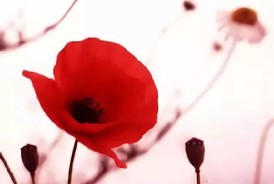 可视人流和无痛人流的区别,人流无痛好还是普通人流好