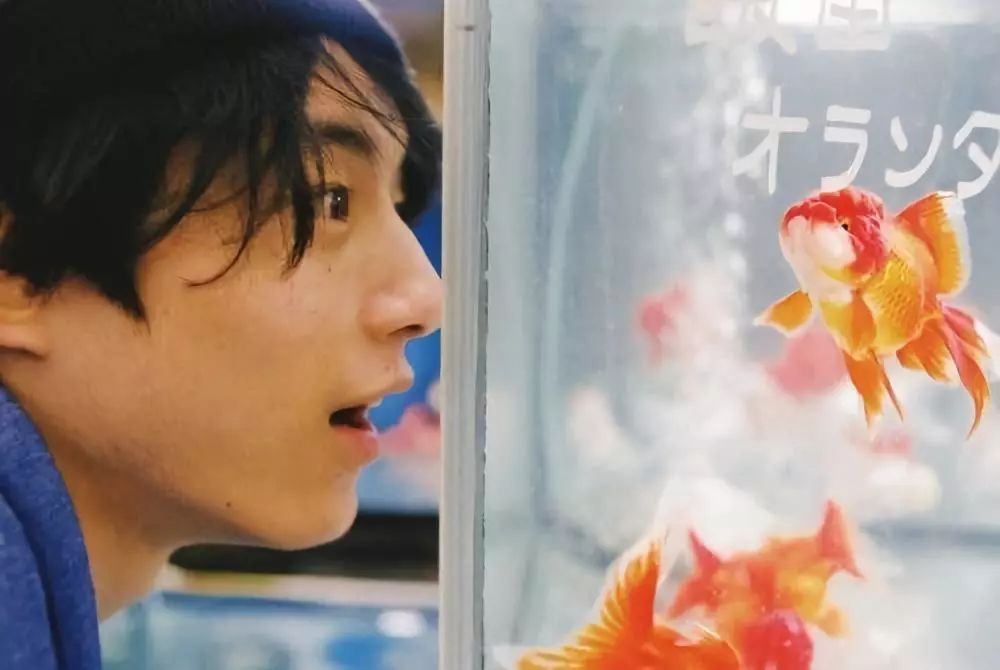 男生海边拍照如何摆pose,双人男生拍照pose姿势大全