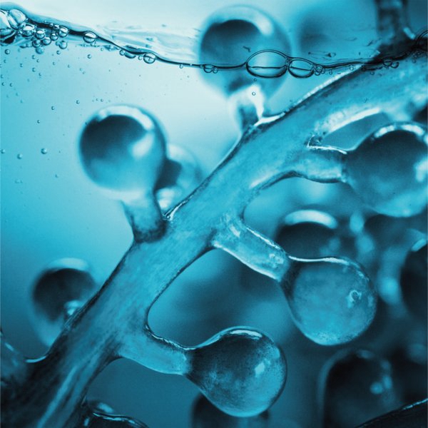 范冰冰同款fanbeauty海葡萄面膜,范冰冰fanbeauty618礼盒