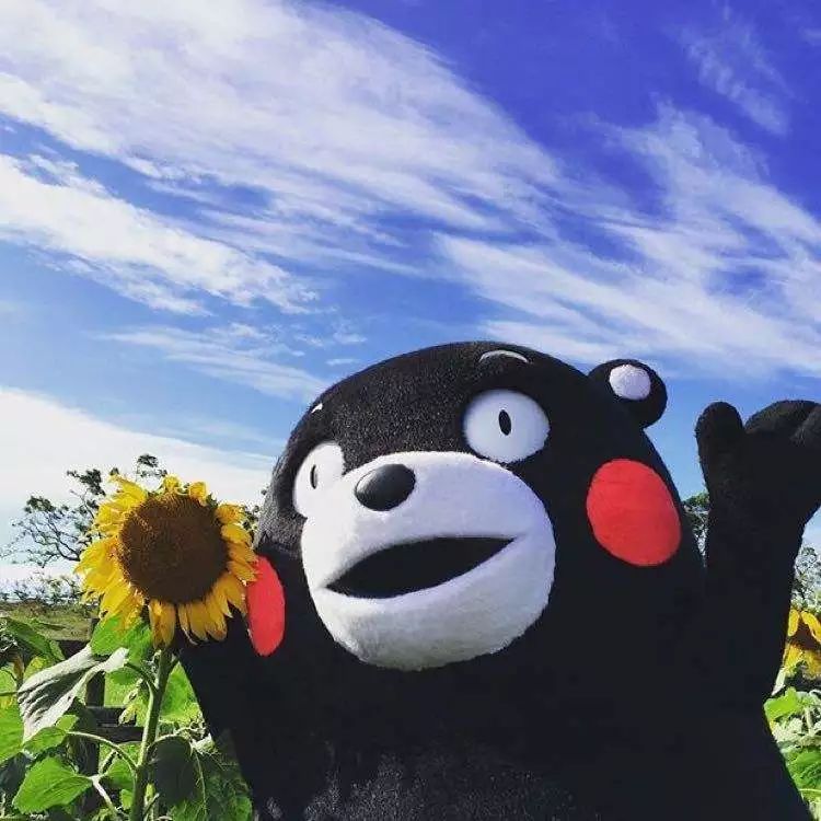 五一深圳的交通,2020年五一深圳出行情况