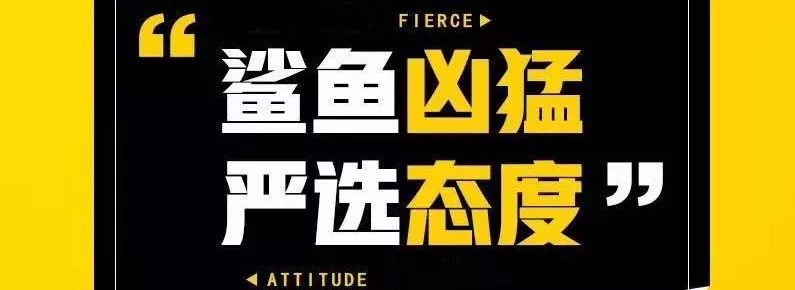 omg奢侈品,海拉尔omg