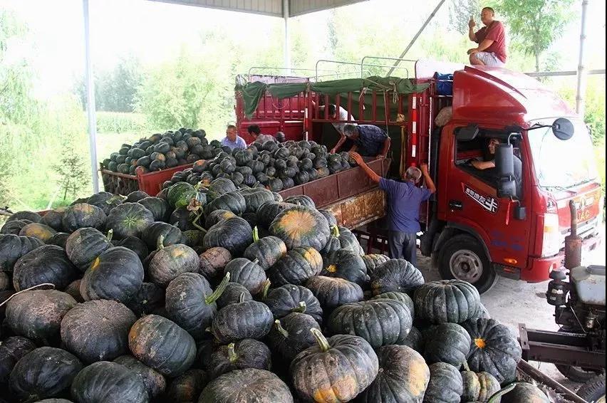 内蒙古乡村振兴标志,包头乡村振兴文化标识定做