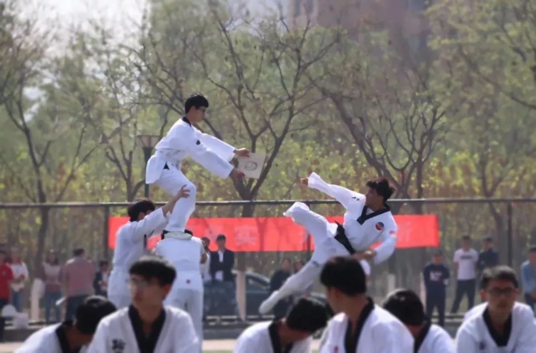 运动会秩序册,四川省第十三届田径运动会秩序册