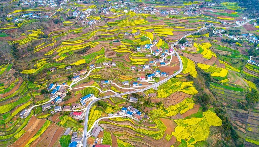 宜昌企业纳税百强出炉全名单,宜昌2023纳税企业100强名单