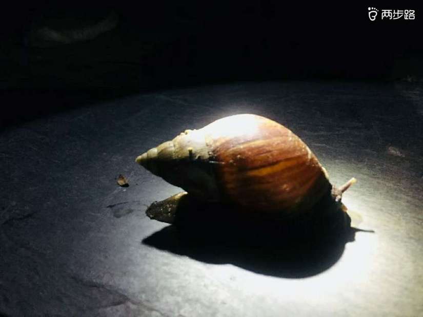 3.16-5.30关于夜徒的那些事