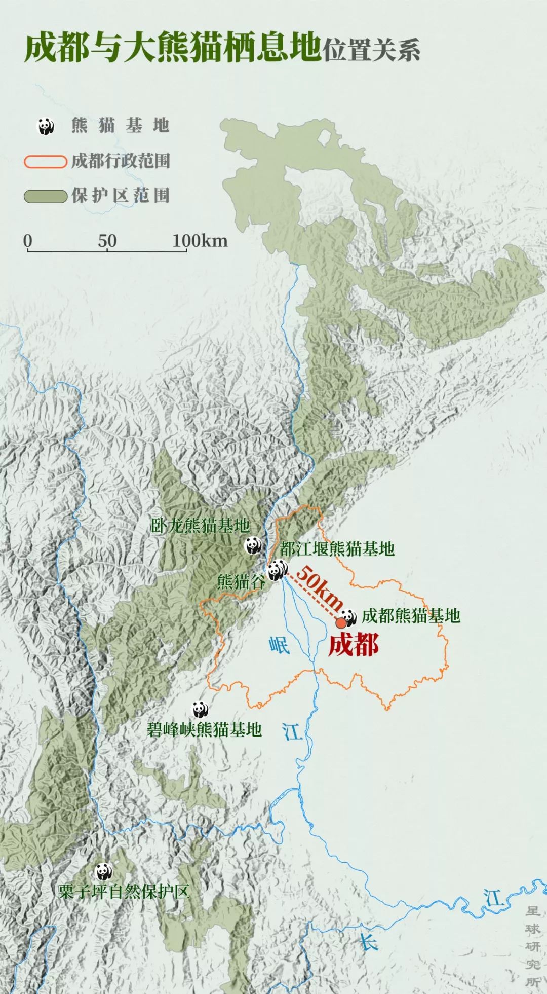 熊猫萌,熊猫萌啦