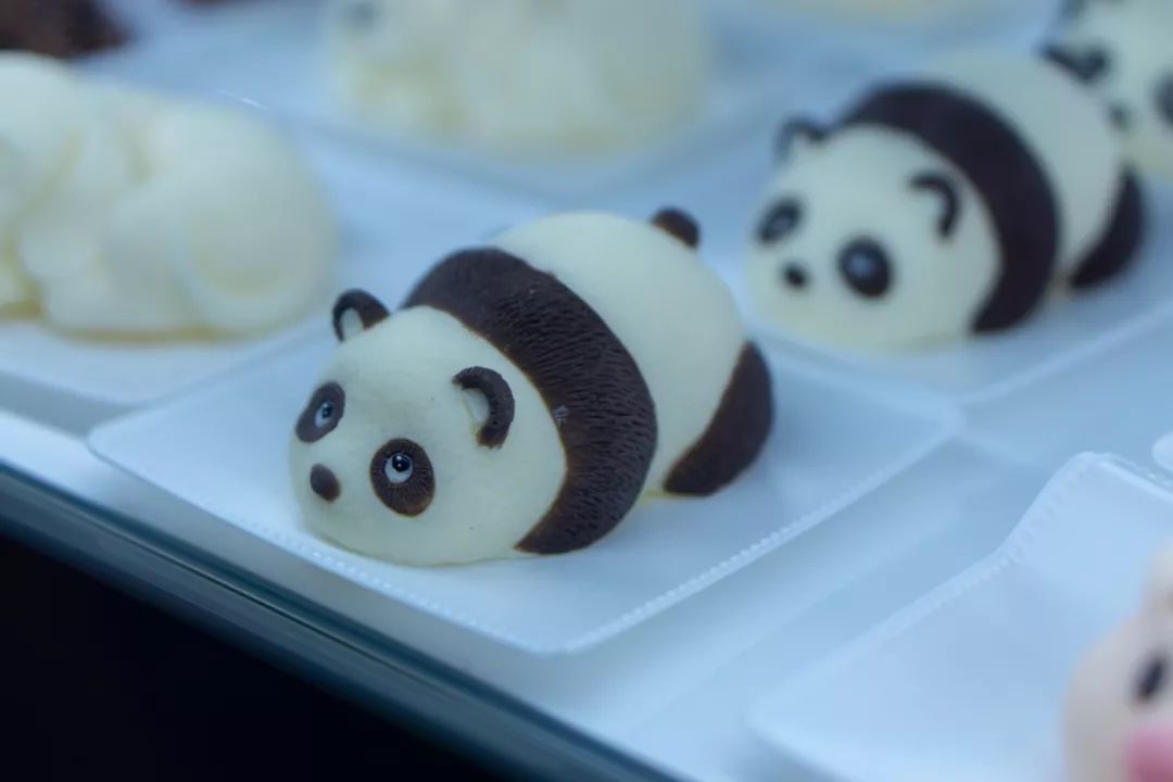 熊猫萌,熊猫萌啦