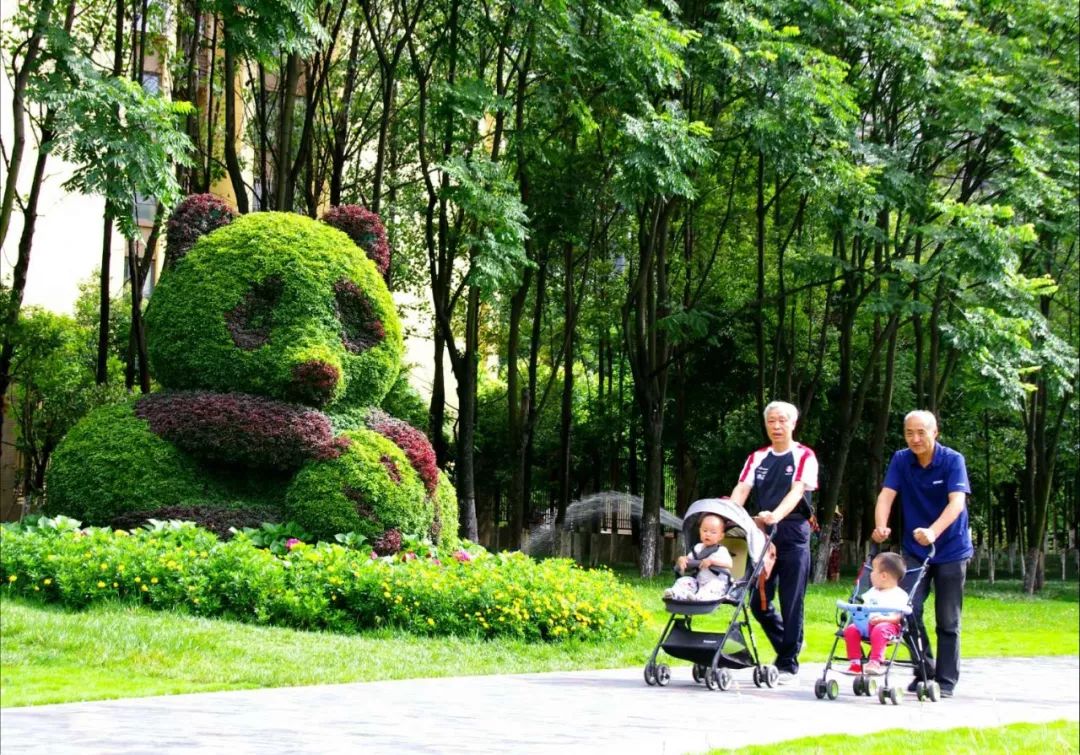 熊猫萌,熊猫萌啦