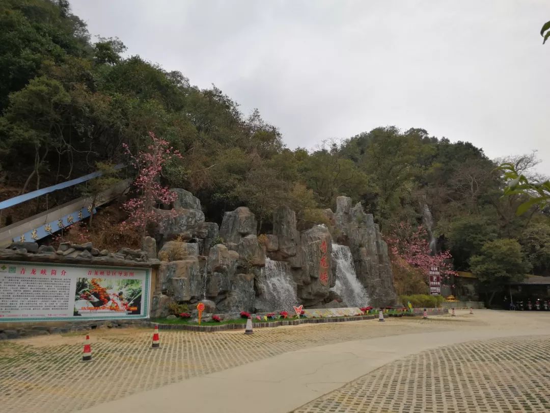 花为美,峡谷风光等你来,娱乐休闲尽开怀