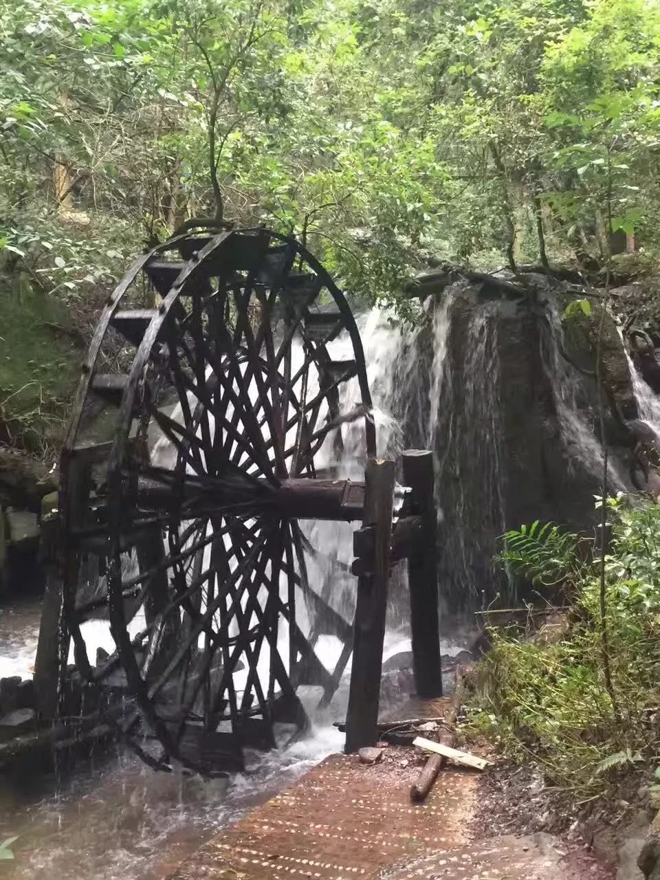 花为美,峡谷风光等你来,娱乐休闲尽开怀