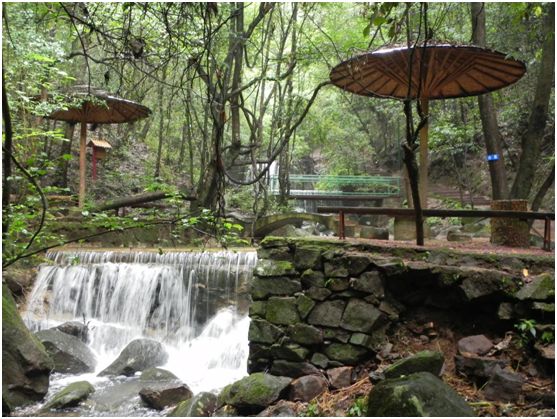 花为美,峡谷风光等你来,娱乐休闲尽开怀