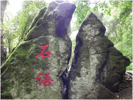 花为美,峡谷风光等你来,娱乐休闲尽开怀