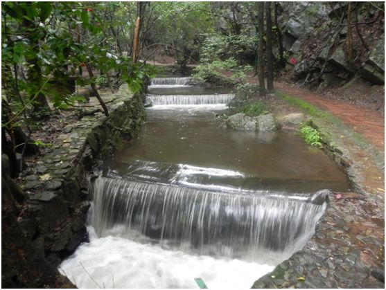 花为美,峡谷风光等你来,娱乐休闲尽开怀