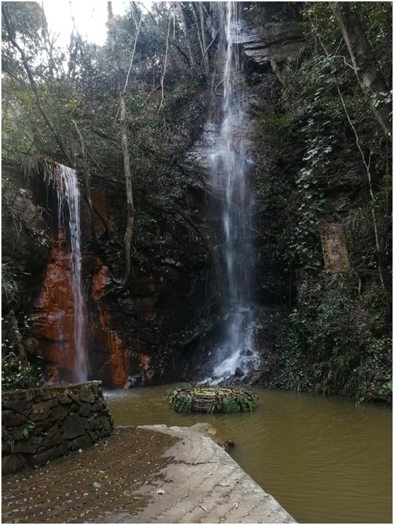 花为美,峡谷风光等你来,娱乐休闲尽开怀