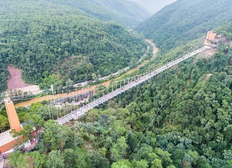 花为美,峡谷风光等你来,娱乐休闲尽开怀