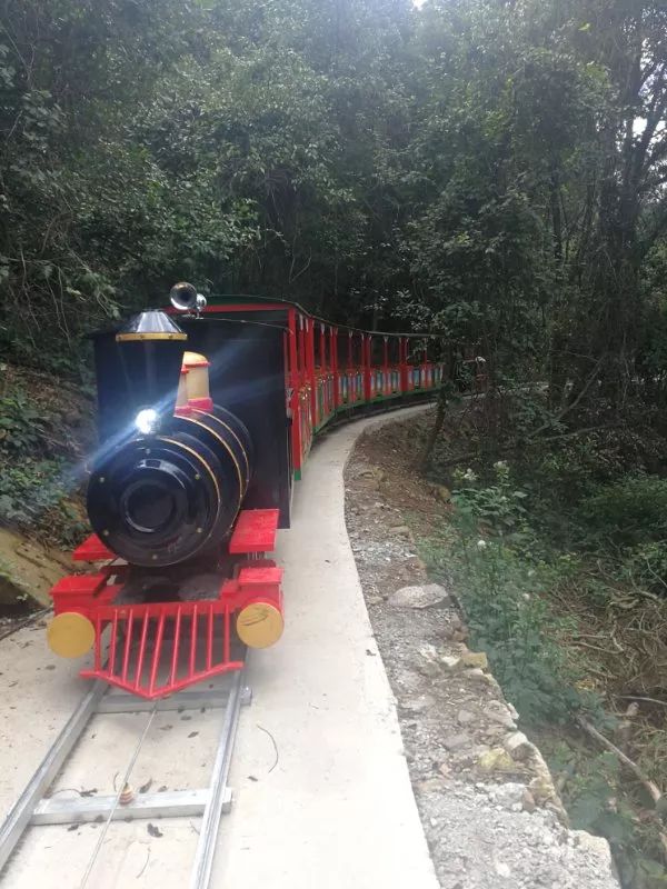 花为美,峡谷风光等你来,娱乐休闲尽开怀