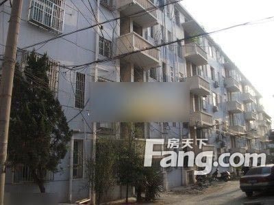 鍏寸澶у帵,鍏寸澶у帵鍚堣偉