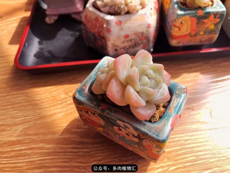 冰玉怎么盘透,怎么盘玉珠