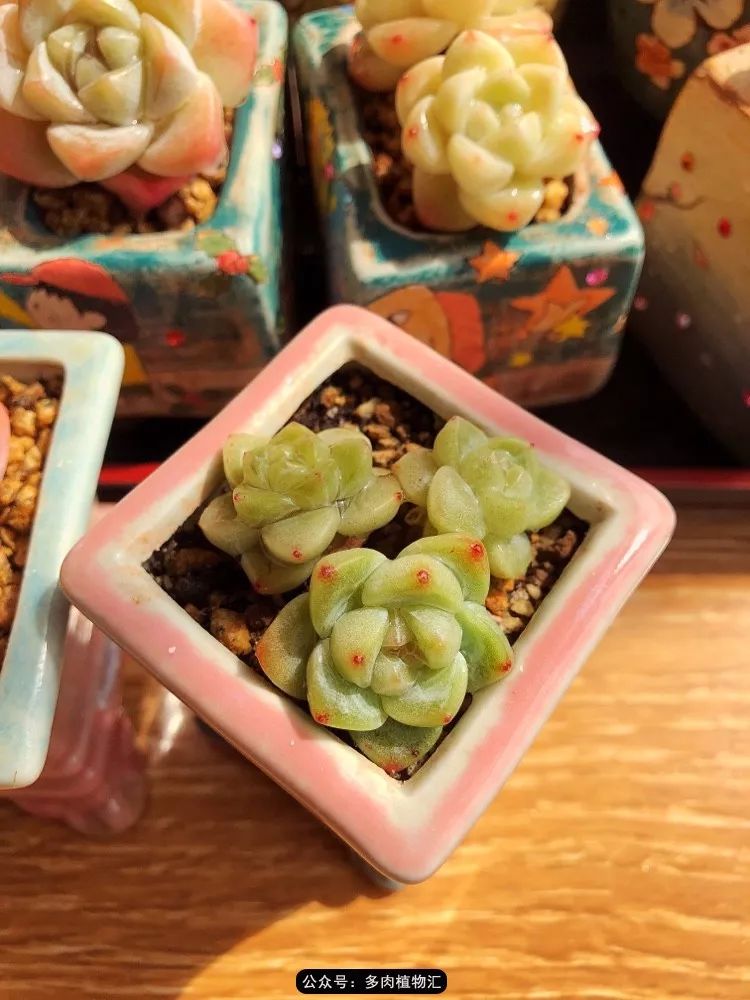 冰玉怎么盘透,怎么盘玉珠