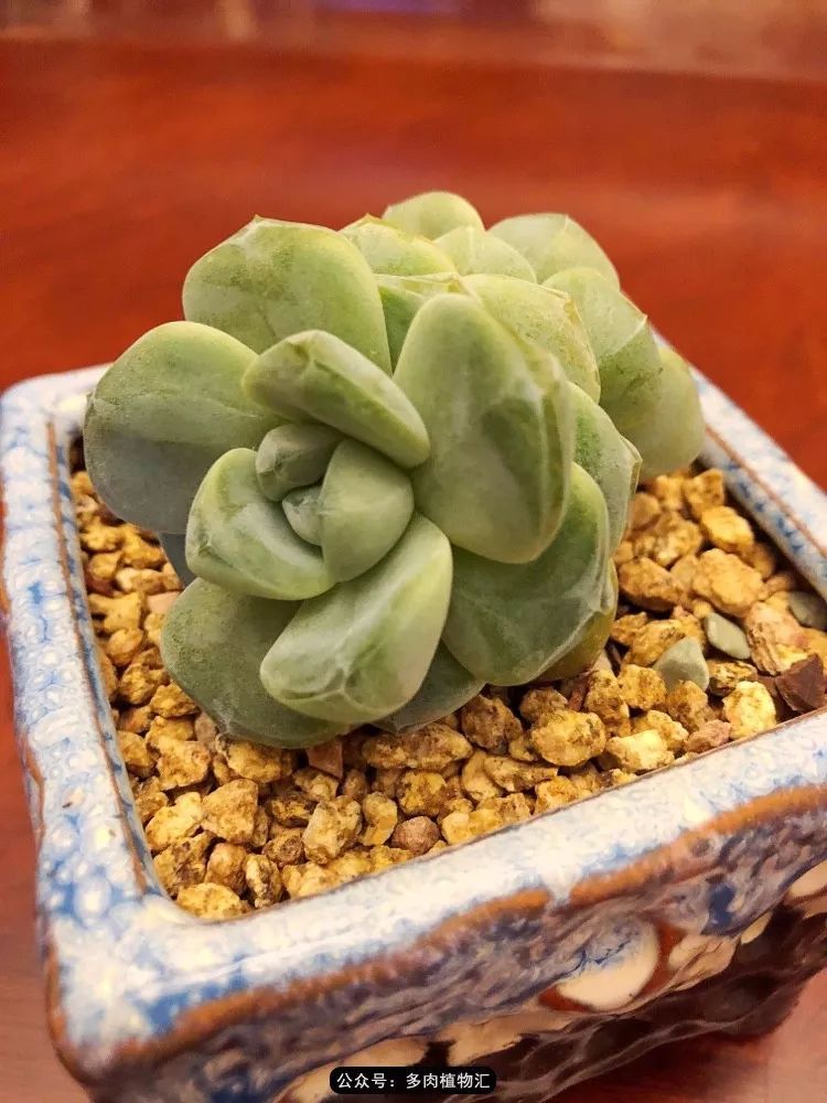 冰玉怎么盘透,怎么盘玉珠