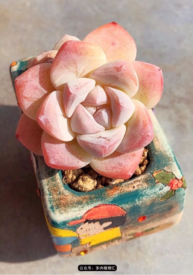 冰玉怎么盘透,怎么盘玉珠