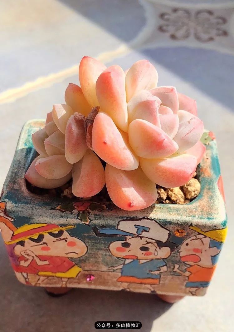 冰玉怎么盘透,怎么盘玉珠