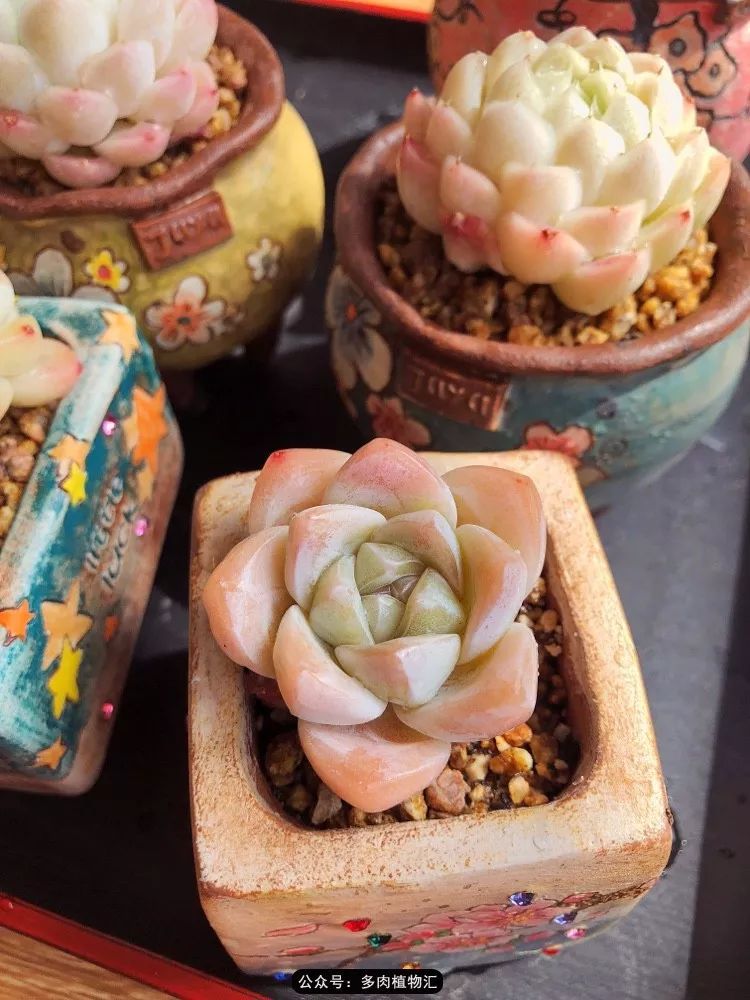 冰玉怎么盘透,怎么盘玉珠