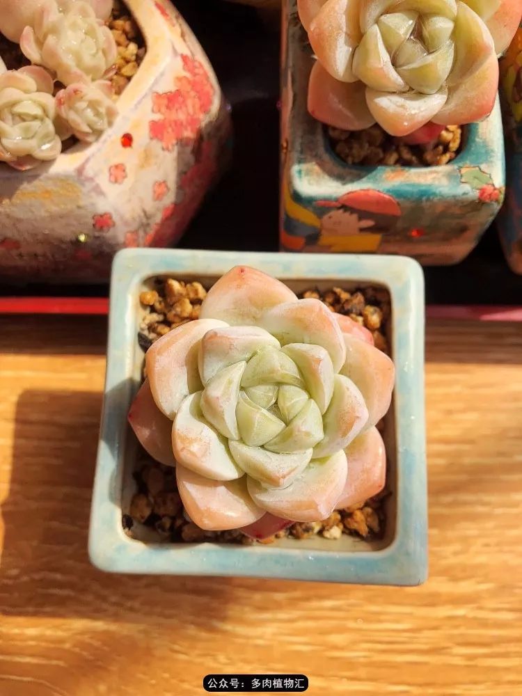 冰玉怎么盘透,怎么盘玉珠