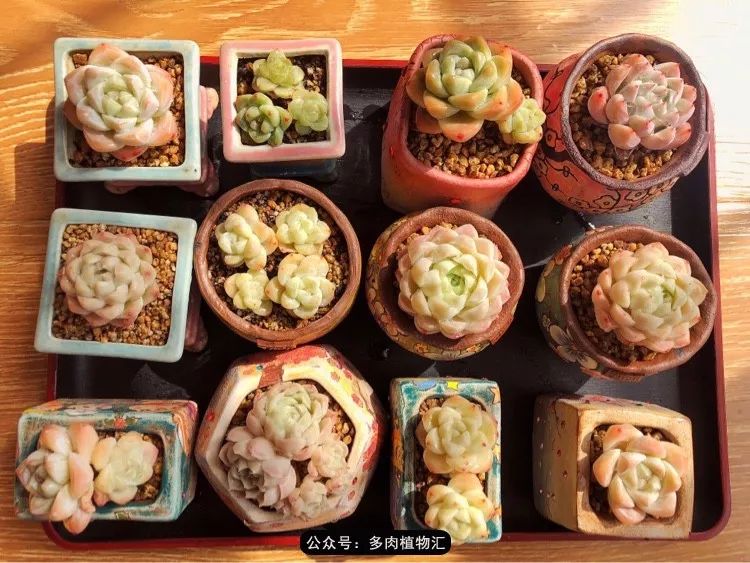 冰玉怎么盘透,怎么盘玉珠