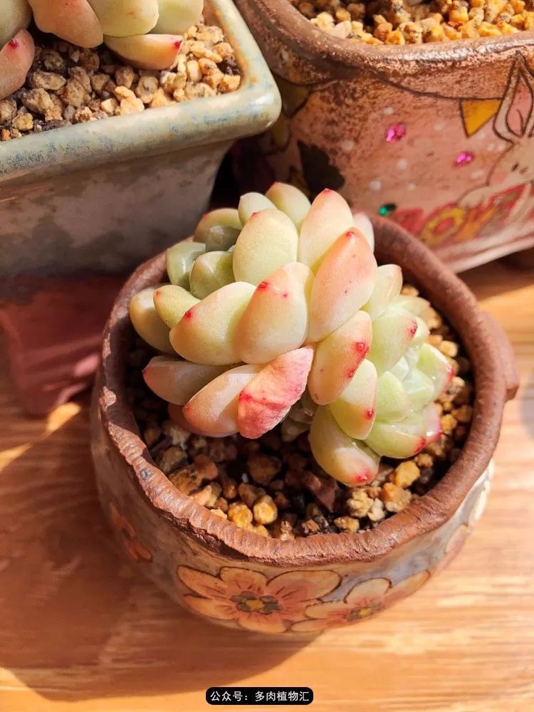 冰玉怎么盘透,怎么盘玉珠