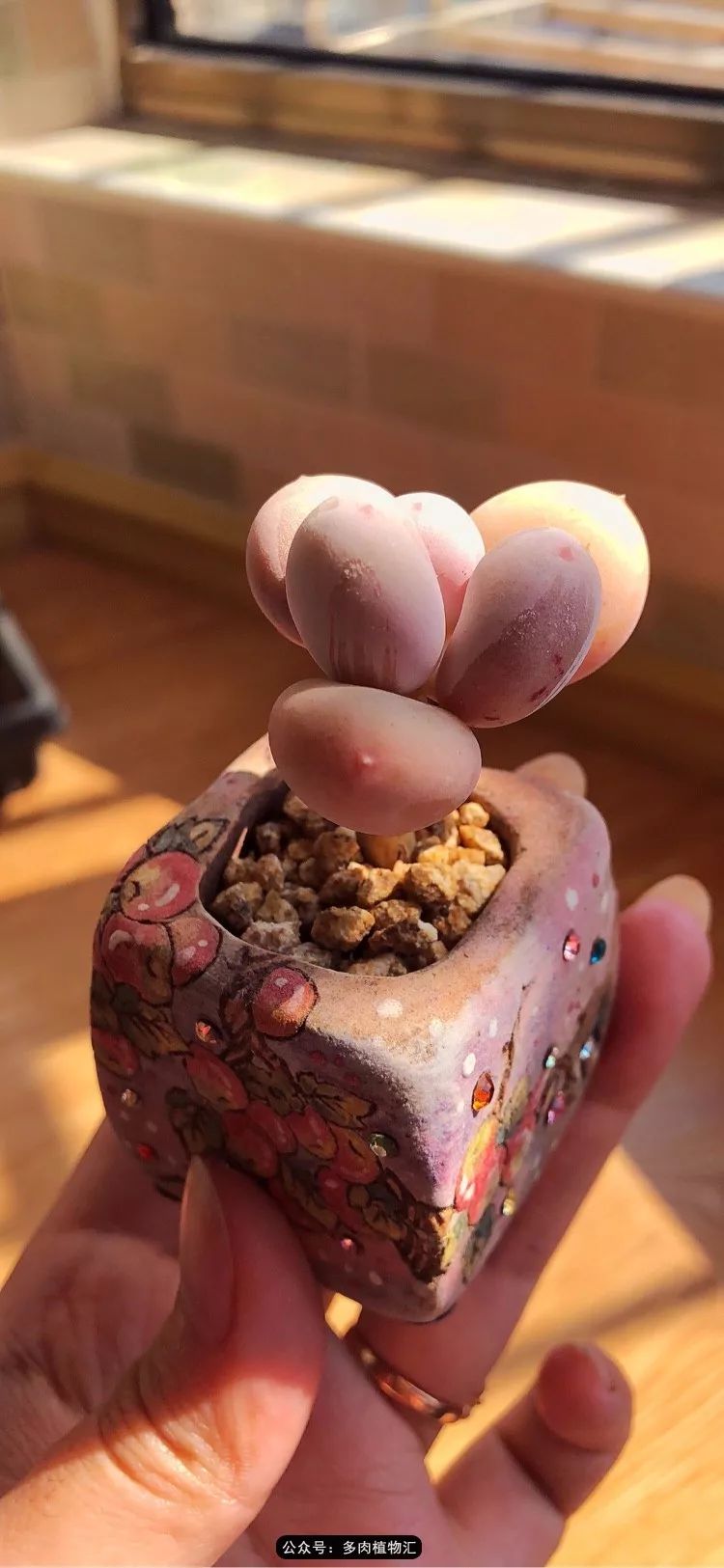 冰玉怎么盘透,怎么盘玉珠