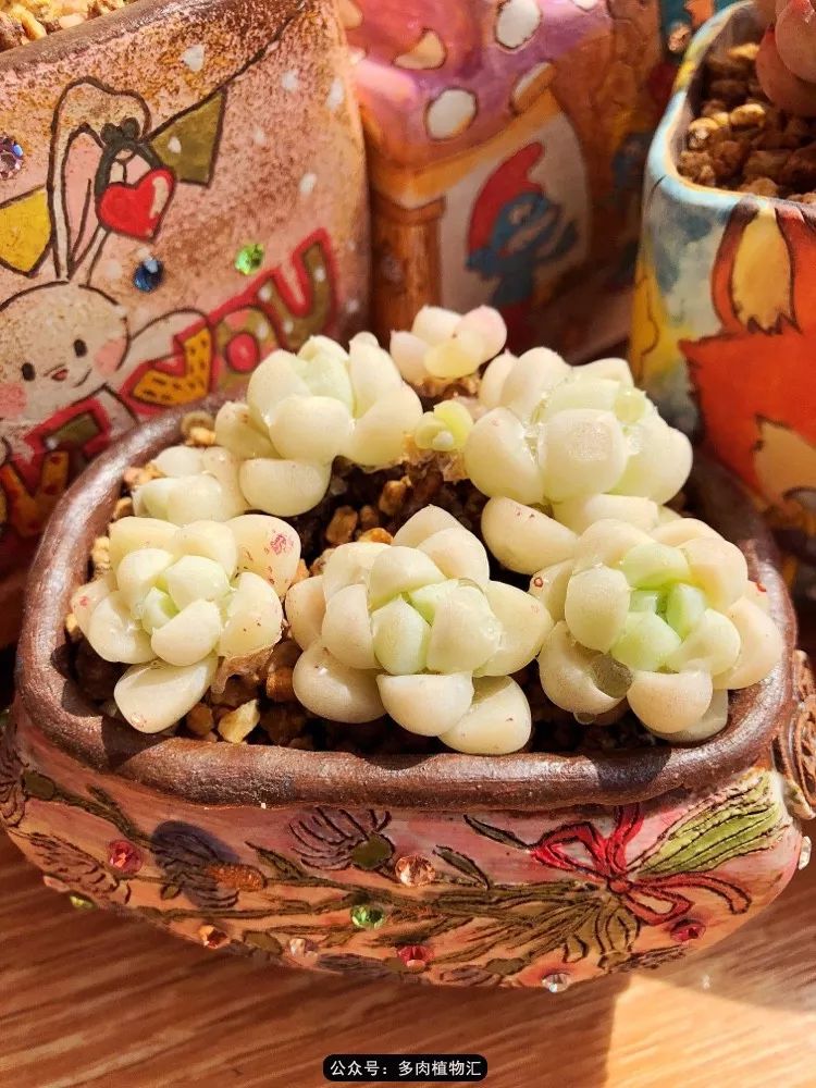 冰玉怎么盘透,怎么盘玉珠