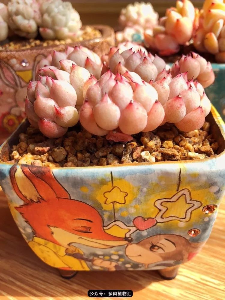 冰玉怎么盘透,怎么盘玉珠