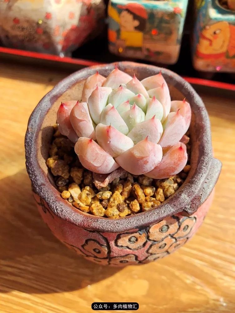 冰玉怎么盘透,怎么盘玉珠