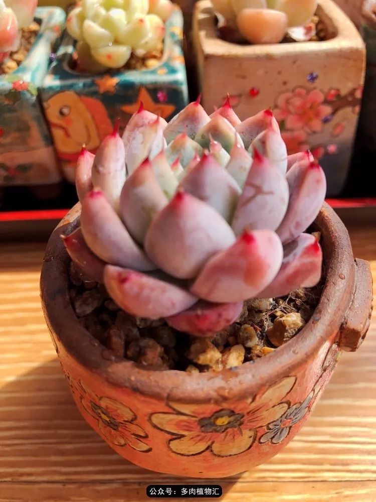 冰玉怎么盘透,怎么盘玉珠