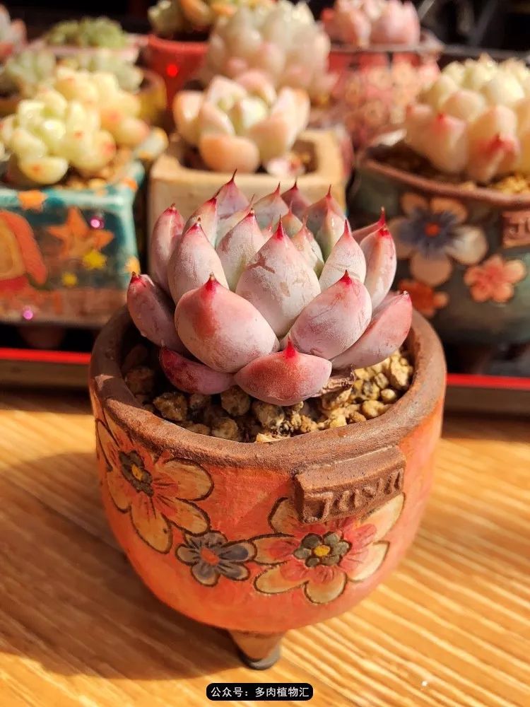 冰玉怎么盘透,怎么盘玉珠