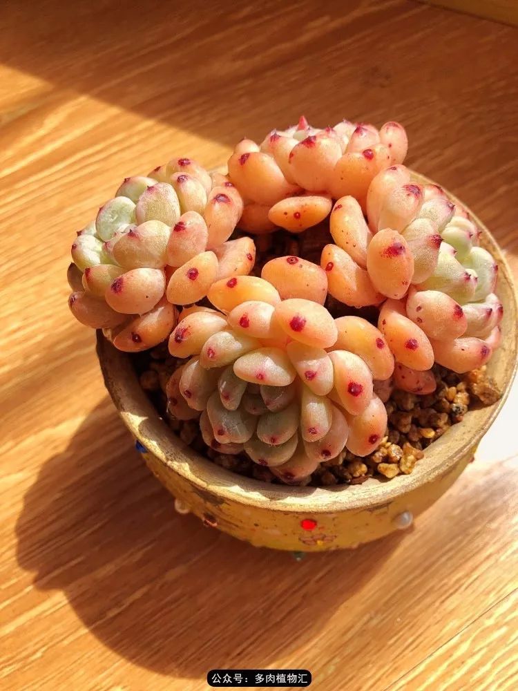 冰玉怎么盘透,怎么盘玉珠