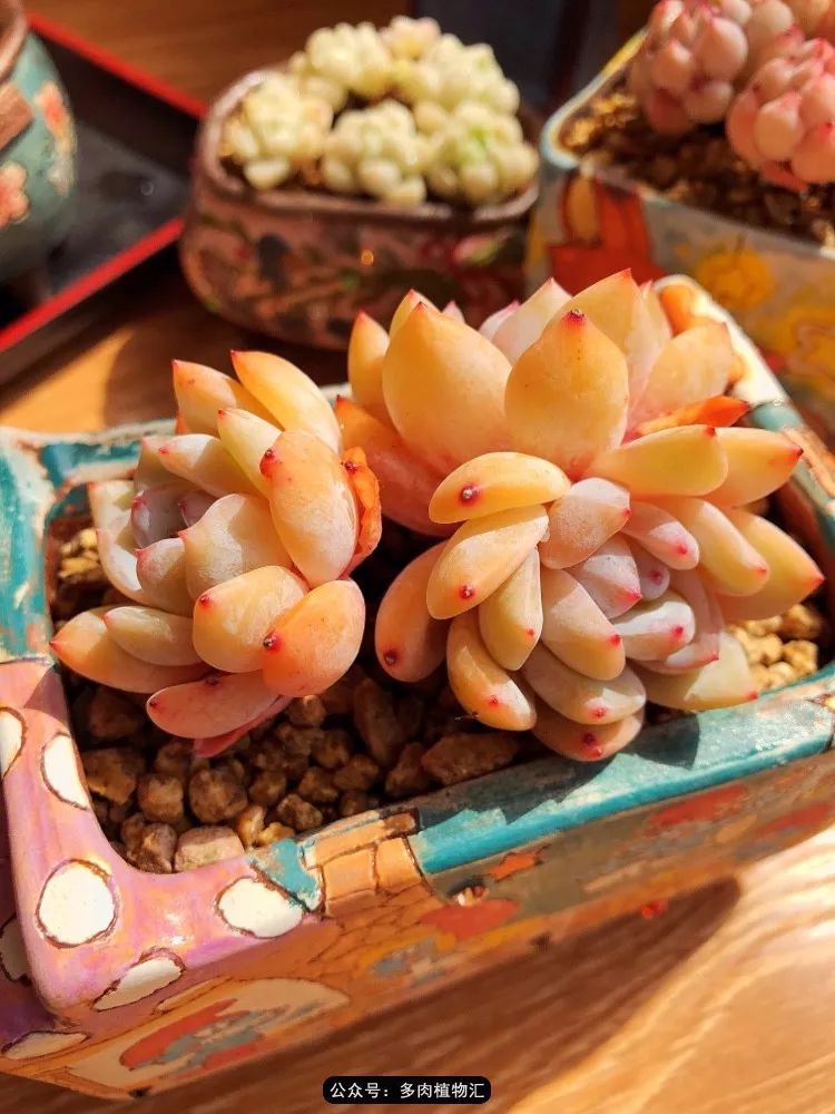 冰玉怎么盘透,怎么盘玉珠