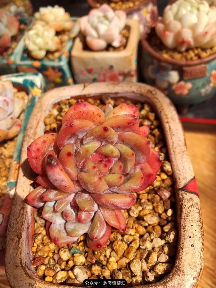 冰玉怎么盘透,怎么盘玉珠