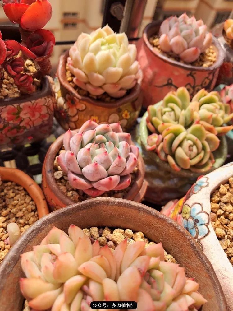 冰玉怎么盘透,怎么盘玉珠